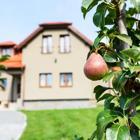 Sulcovna Holiday home *